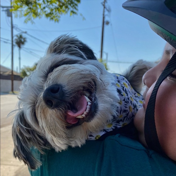 Meet your Posher, Maira - Picture 1 of 1